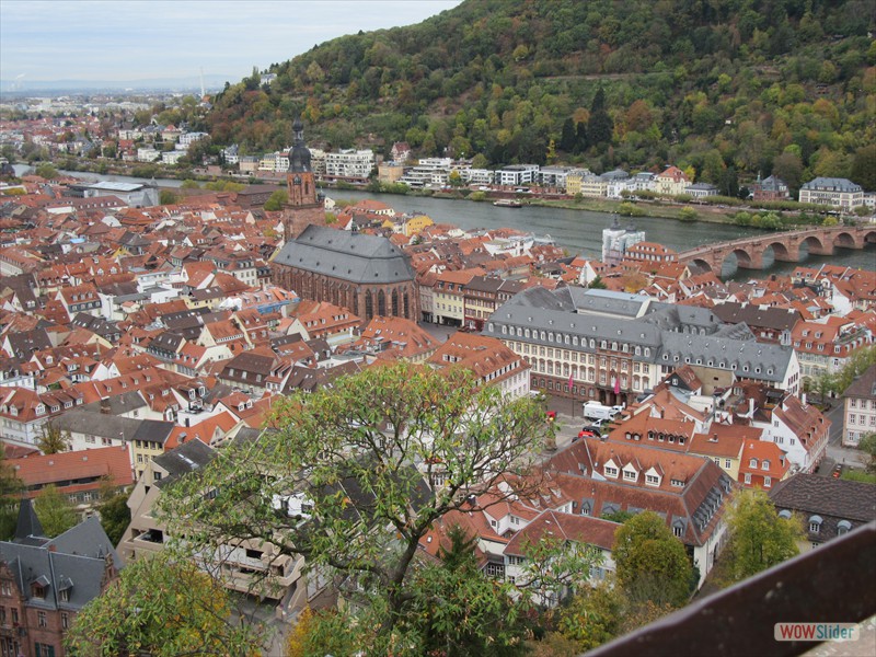 26 Heidelberg from Castle